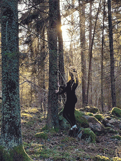 Att vara i skogen stärker livsenergin. Speciellt träd ger otroligt läkande energi.